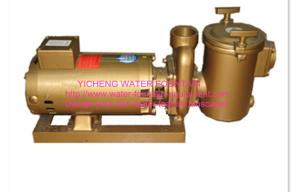 China Brass swimming pool equipment Centrifugal Pump Big Filtration Sea Water wholesale