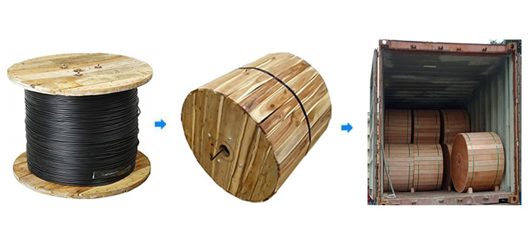 Loose Tube Stranded Armored 12core Fiber Optic Cable Steel Wire Metallic Strengthen Member
