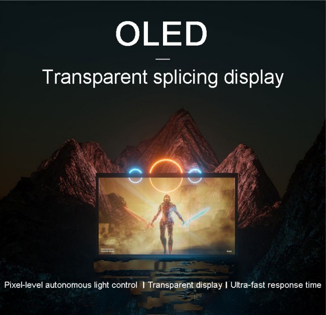 High Transparency Full Color Writing Method OLED Display Panel for Shopping Mall Advertising