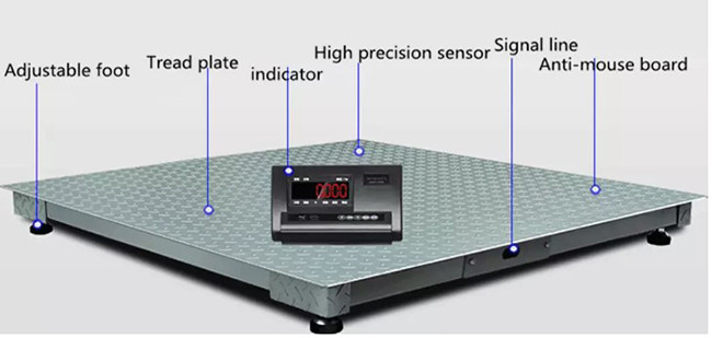 2000Kg 1.2m Digital Weighing Machine Heavy Duty