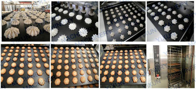 Quest protein cookie chocolate chip butter cookie machine Jenny Cookie making Machine 0.75kw Servo Motor Semi Automatic