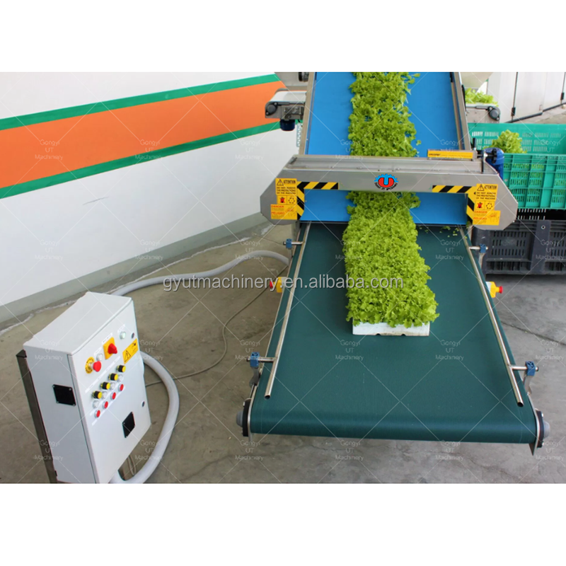 Video Technical Support Tray Harvester Machines for Baby Leaf Microgreen Growing 110 KG