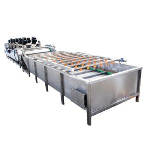 China Fresh Fruit Mango Apple Cleaning Machine 400kg Air Bubble Washing Machine wholesale