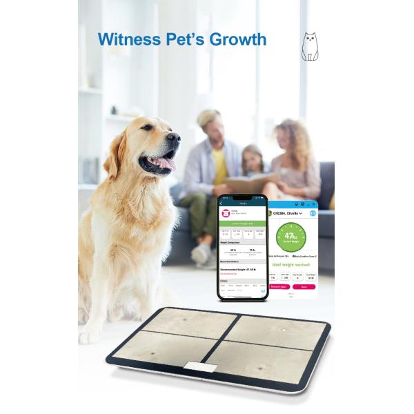 Smart Pet Fat Scale Digital Pet Weighing Scale Maximum Weight Recommendation 30kg Health Scale for Cats and Dogs