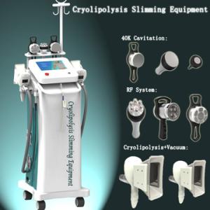 China cryolipolysis slimming machine with 5 handles wholesale