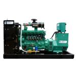 Nature Gas Biogas LPG Gas Generator