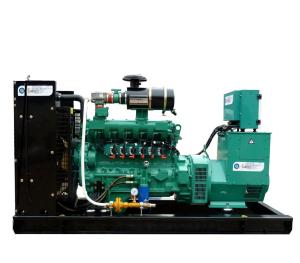 China Nature Gas Biogas LPG Gas Generator wholesale