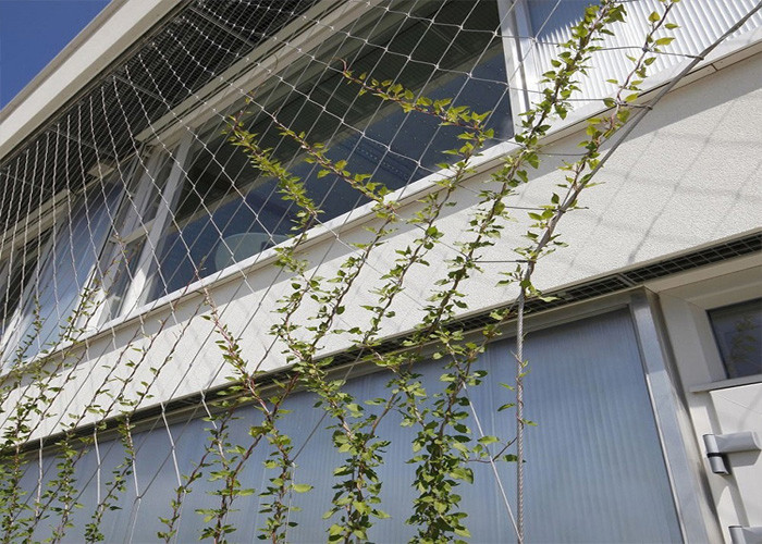 Outdoor Custom Decortaive 3.0mm Stainless Steel Rope Mesh Green Wall Cable Network Plant Climbing