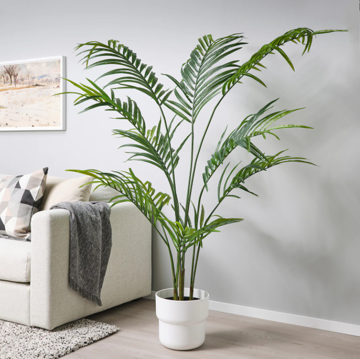 Height 220cm Green Artificial Plant For Indoor Decoration Kentia Palm Tree