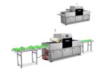 PLC Vacuum Horizontal Flow Wrap Packing Machine Chicken Sea Food Packing