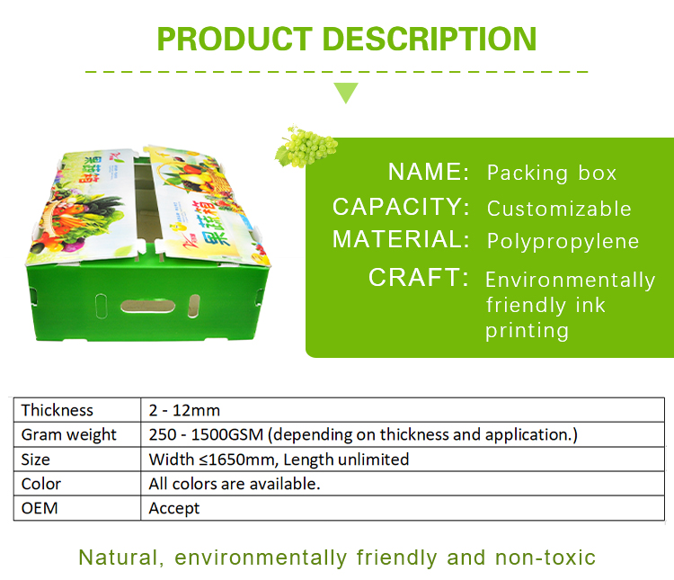 Fruit Corrugated Plastic Packaging Broccoli PP Corrugated Sheet Box