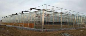 China Multi Span Modern Plant Construction Agricultural Greenhouse wholesale