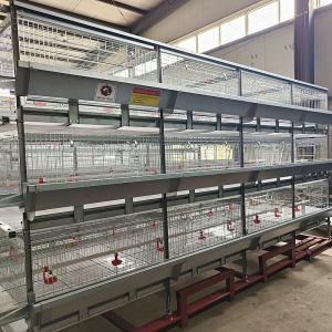 China 108 Chickens High Brood Survival Rate Broiler Cage System For Little Chick wholesale