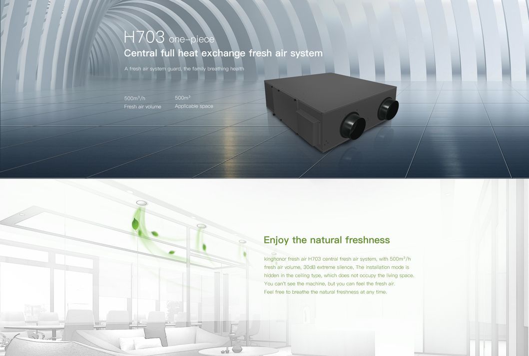Professional Ventilation System Air Purification Machine HVAC unit