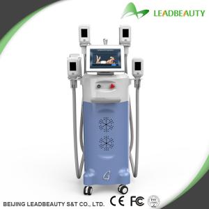 China Best high-tech cryolipolysis slimmming machine wholesale