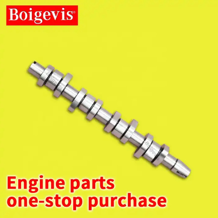 038109101R Car Engine Camshaft For VW 1.9 2.0 TDI PD FCP 50006304