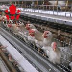 Cage Manufacturer 90 - 160 Birds Hot Galvanized Laying Hen Farming Equipments