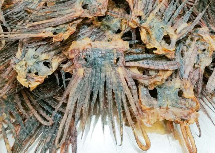 Salty Nutritious Tentacle Dried Squid Snack Korean Market Brown Color