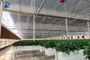 China Large PVC Hydroponic Growing Troughs Strawberry Growing Gutters Easy Installed wholesale