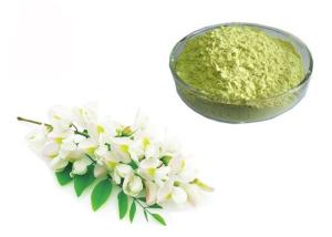 China 95% 98% Pure Rutin Powder Flower Bud Part Sophora Japonica Extract wholesale