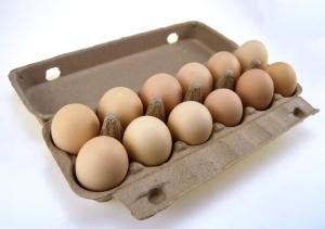 China Paper Molded Renewable Egg Box Production Line 1500pcs/hr 100kw wholesale