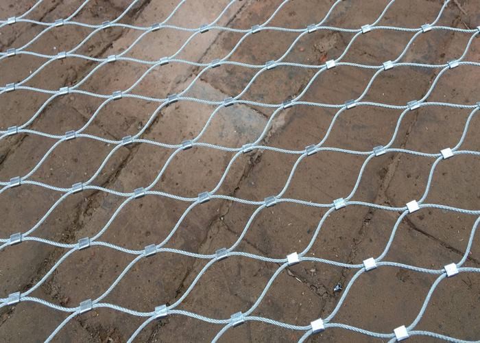 Diamond Shape Stainless Steel Bird Mesh Ferruled Type Or Bird Netting