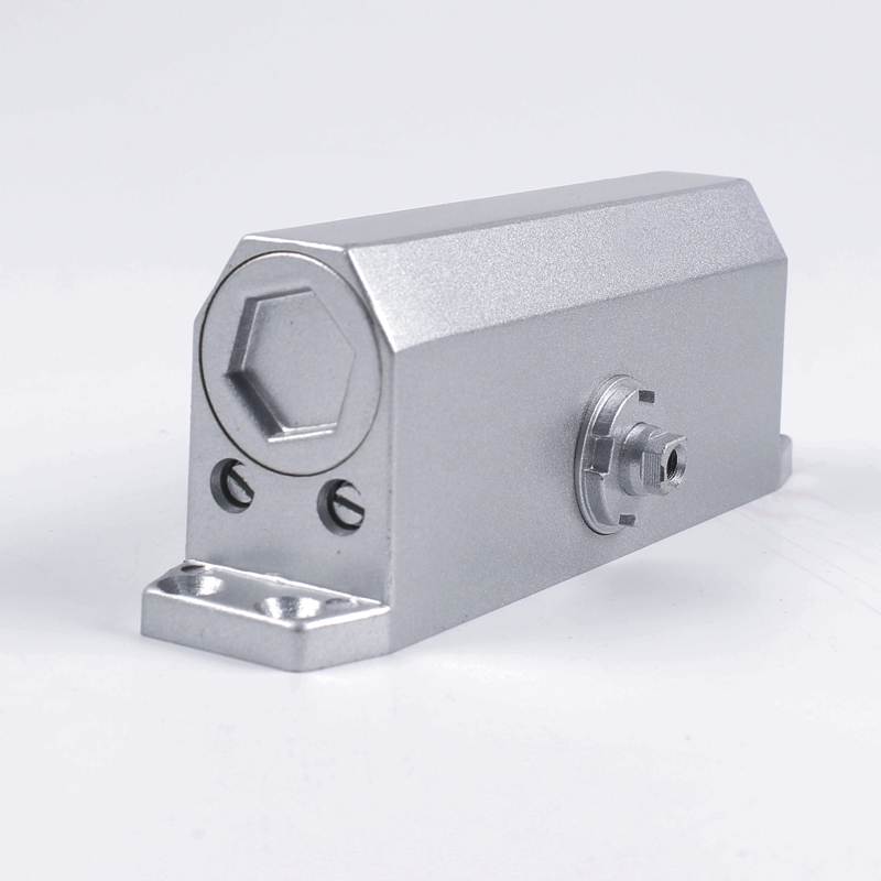 Two Speed Adjustable Iron Hydraulic Auto Door Closer for All Metal and Plastic Doors