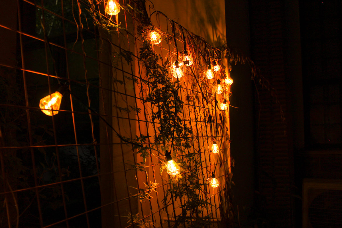 Solar Powered Power Efficient Dimmable LED Christmas Decor Dimmable Light String Plastic Shatterproof Bulb Waterproof IP65
