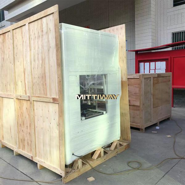 Poly Bag Inserter Robot Bag Case Packer Line Machine Automatic