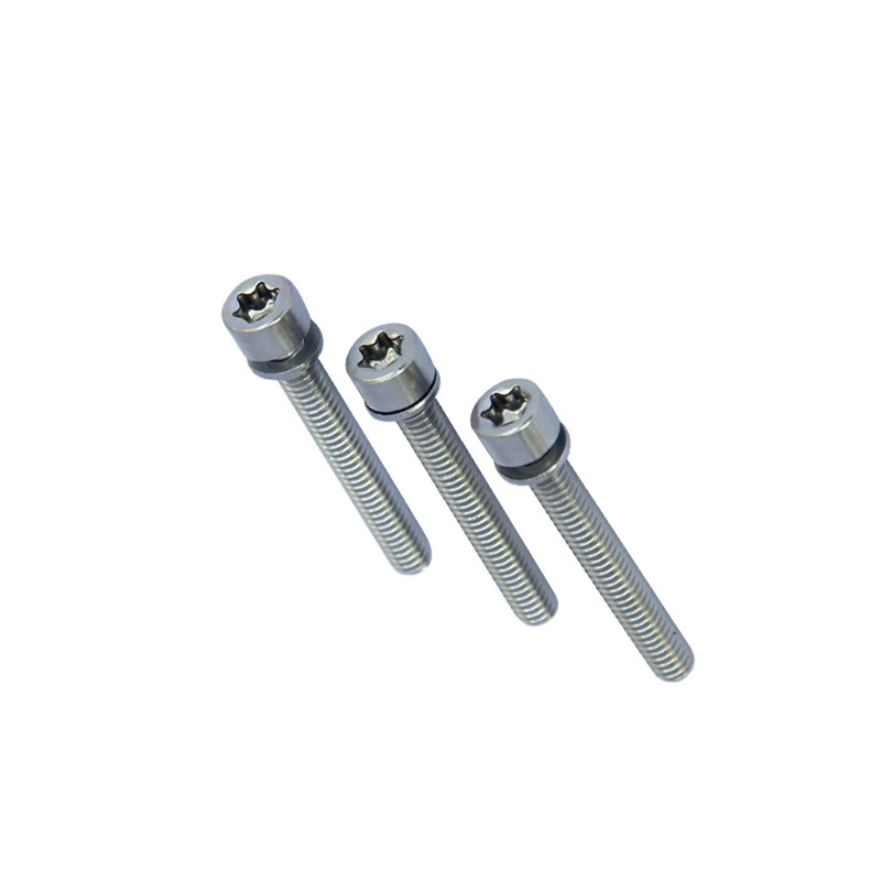 Stainless Steel Torx Machine Screw