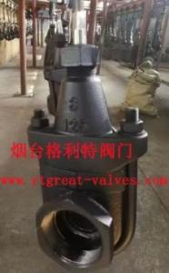 China clip gate valve wholesale
