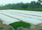 Agriculture Non Woven Polypropylene Fabric Anti Aging SGS Certification