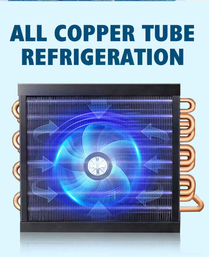 Air Cooling Double Glass Door Display Chiller 980L R290 Single Temperature