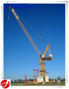 China 10t 50m boom luffing tower crane wholesale