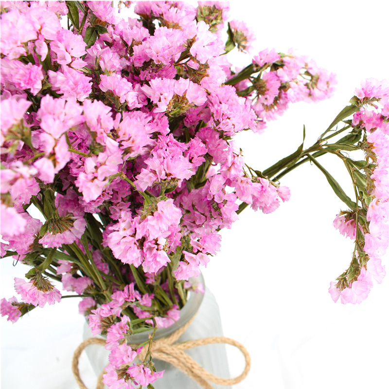Forget Me Not Limonium Statice Flower , Everlasting Preserved Fresh Flower