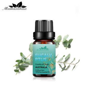 China OEM Eucalyptus Oil Aromatherapy USDA 100% Pure Eucalyptus Essential Oil wholesale