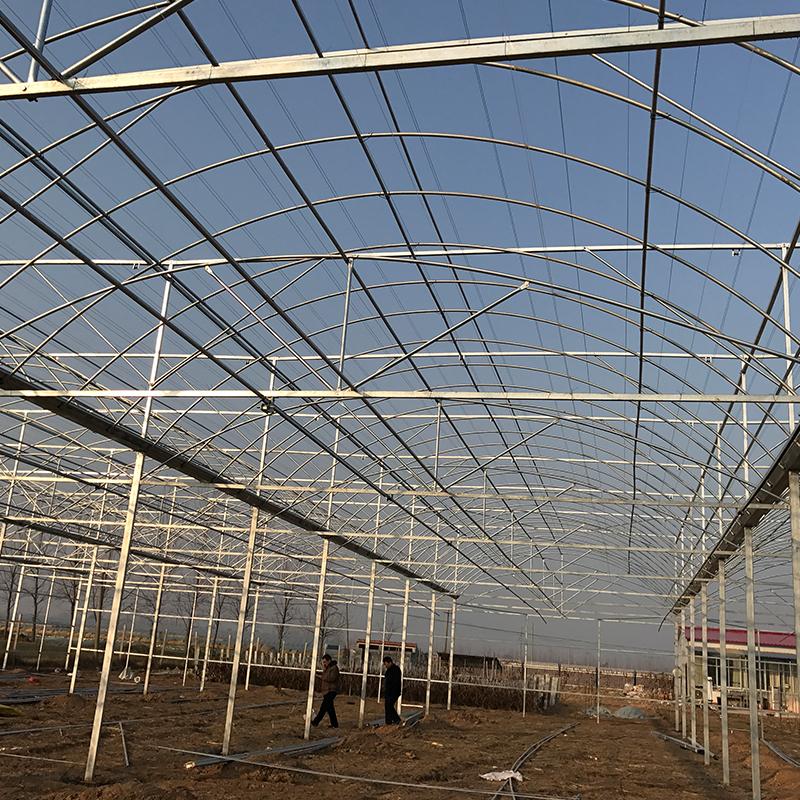 Agricultural Greenhouse Ltd. Presents Large Vertical Hydroponic System for Lettuce
