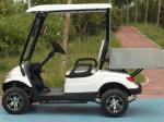 Customized Utility Electric Cargo Golf Cart 60V 48 volt
