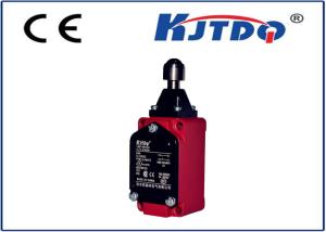 China High Temperature Industrial Limit Switches Thermoplastic Roller Lever Mental Cast wholesale