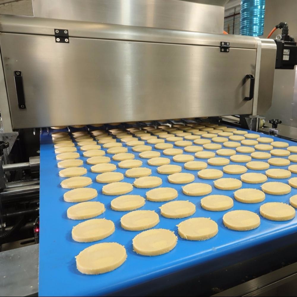 Hot Sales Automatic New Tray Type Cookies Mechanical/ PLC Cutter And Deposit Cookies Machine Price