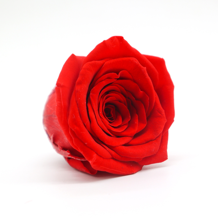 Long Time Using Dried Rose Heads , Allergy - Friendly Floral Head Wreath