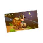 RGB 1600*900 B173RW01 V5 LCD Moudle for AUO