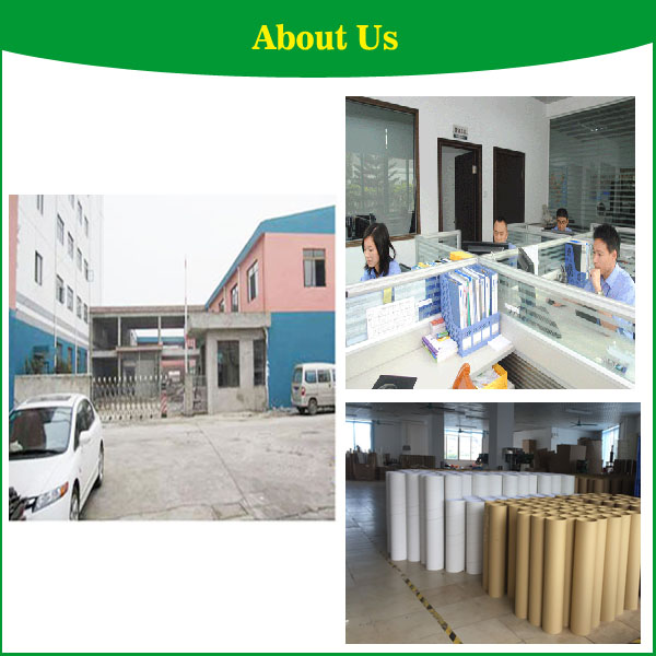 Biodegradable 220mm Length White Paper Tube Packaging