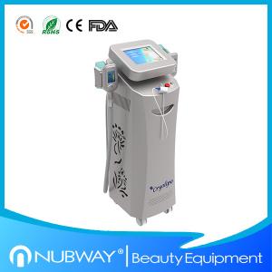 China Lipo Beauty Waist Cryolipolysis Slimming Machine Safe Pulse Work Model wholesale