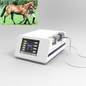 China 1Hz Equine Shock Wave Therapy Machine For Horses wholesale