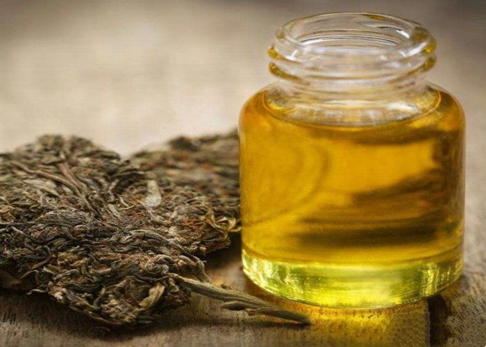CBD Oil Extraction Machine System Solution for Canna-bis under Low Temperature