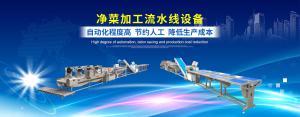 China 60HZ Salad Production Line wholesale