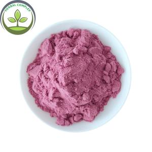 China Hot Sale Poland Aronia Berry Powder / Aronia Powder wholesale