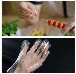 China Oil - Proof Plastic Food Prep Gloves / Disposable Food Preparation Gloves wholesale