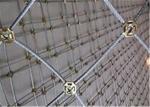 Professional Rockfall Protection Netting Low Carbon Steel Wire Slope Protection